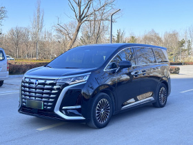 腾势D9 2022款 DM-i 1040 尊贵型