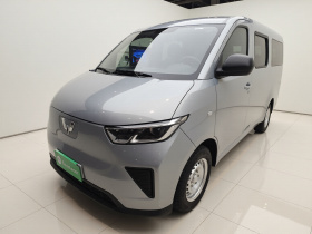 五菱汽车 五菱扬光 2024款 300KM 舒适型客车版 75kW