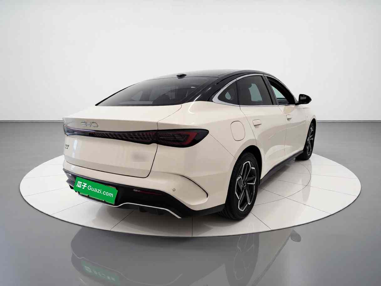 比亚迪 海豹06新能源 2024款 DM-i 120KM旗舰型(5)