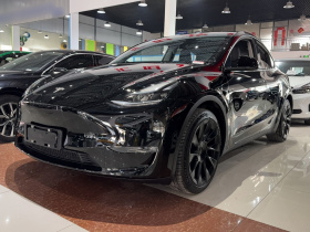 特斯拉 Model Y 2021款 标准续航后驱版