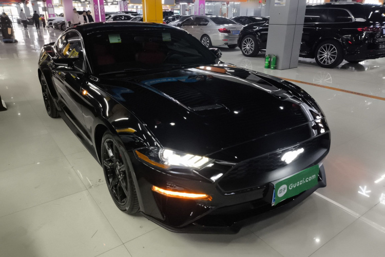 福特Mustang（平行进口） 车身外观3