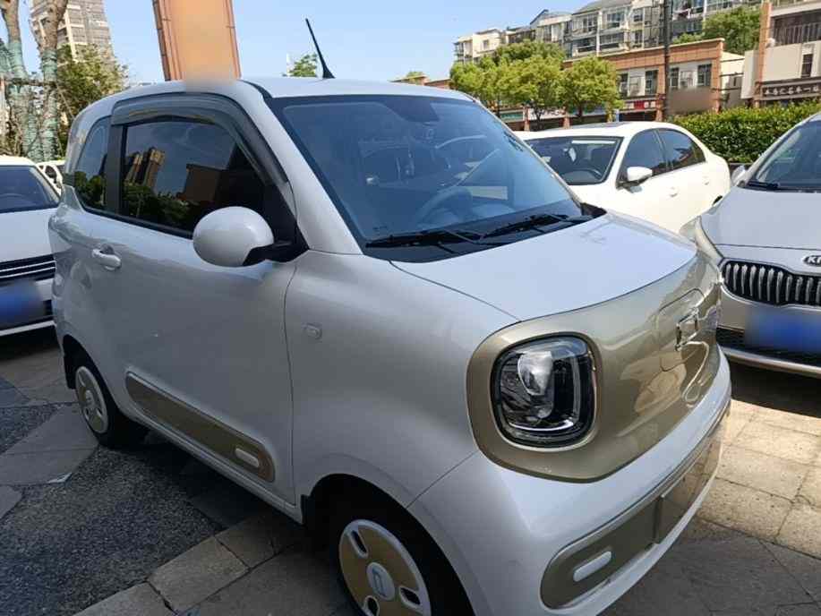 奔腾小马 2024款 170km 活力马(5)