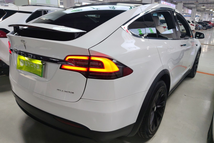特斯拉 Model X 2019款 长续航版车身外观7