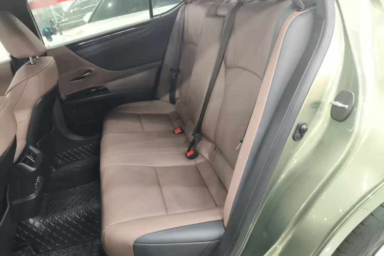 雷克萨斯ES 2021款 200 卓越版中控内饰21