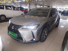 雷克萨斯UX新能源 2020款 300e 纯·悦版