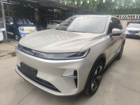 哈弗枭龙MAX 2025款 Hi4 165 Plus 长续航版