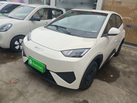 比亚迪 海鸥 2025款 305km 活力版