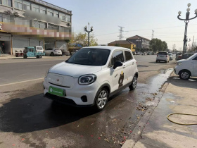 零跑汽车 零跑T03 2022款 皓玉版
