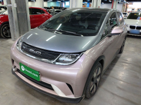 比亚迪 海豚 2023款 401km 骑士版