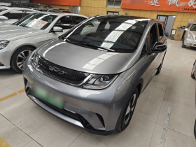 比亚迪 海豚 2023款 420km 时尚版