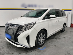 广汽传祺 传祺M8 2019款 320T 至尊版