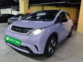 比亚迪 海豚 2023款 420km 时尚版