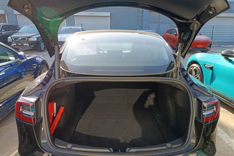 特斯拉 Model 3 2021款 标准续航后驱升级版 3D6局部细节23