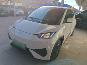 比亚迪 海鸥 2025款 智驾版 305km 活力版