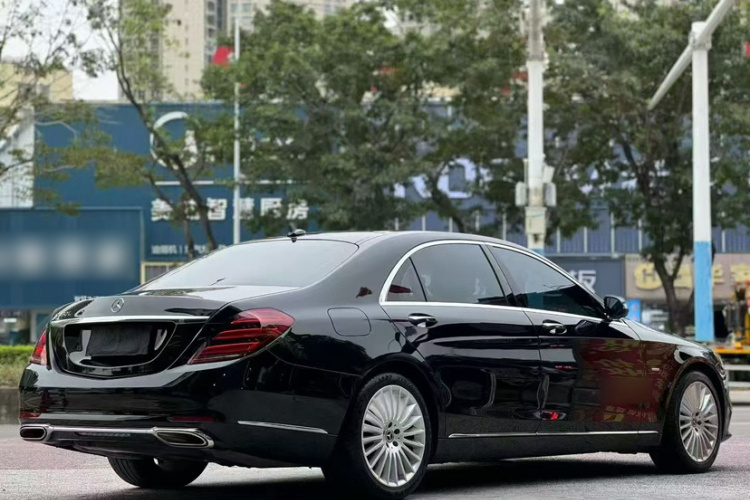 奔驰S级 2020款 S 350 L 商务型 臻藏版车身外观6005