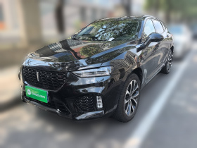 魏牌 VV7 2017款 2.0T 超豪型