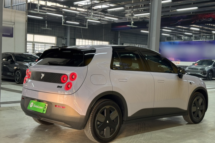 firefly萤火虫 2025款 发光版车身外观6005