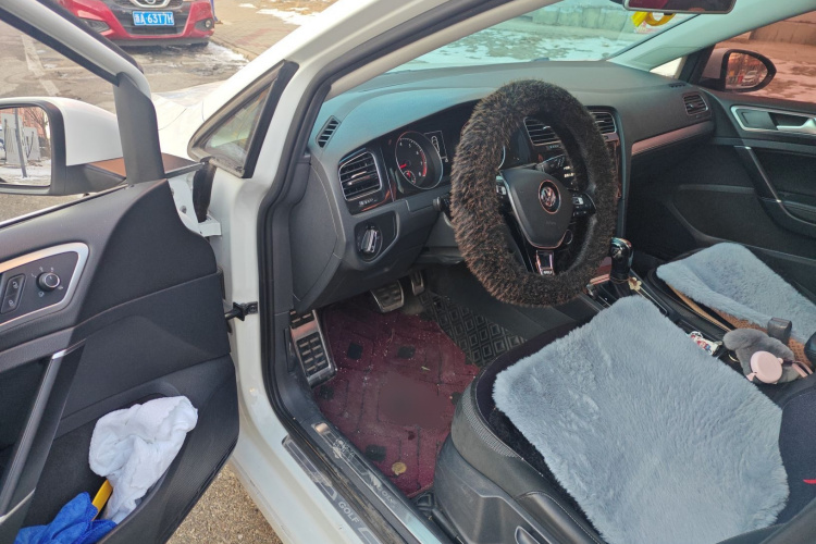 大众 高尔夫 2020款 挚爱版 280TSI DSG舒适型中控内饰20