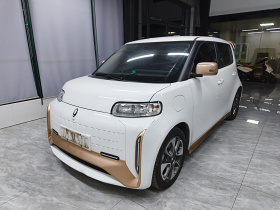 欧拉白猫 2022款 小野猫版 360km 豪华型 三元锂