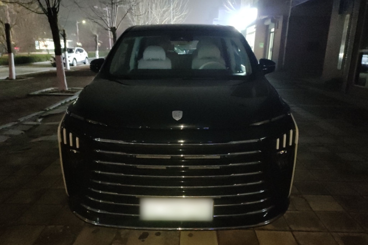 东风风行 星海V9 2024款 1.5TD 200km 青云梯系列 尊贵型车身外观6001