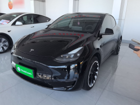 特斯拉 Model Y 2023款 长续航全轮驱动版