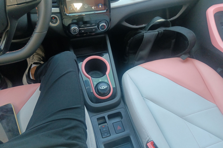 奇瑞 小蚂蚁 2022款 甜粉款 半糖版 磷酸铁锂 30kW 301km局部细节18