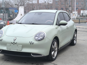 欧拉好猫 2023款 401km标准续航 豪华型 磷酸铁锂