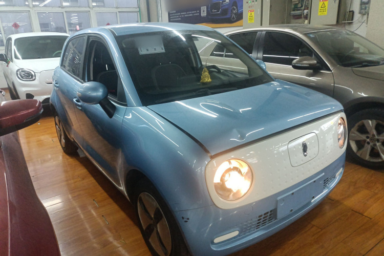 欧拉黑猫 2019款 301km 标准版车身外观3