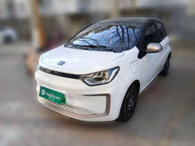 思皓 花仙子 2021款 302km 时尚型 31.4kWh