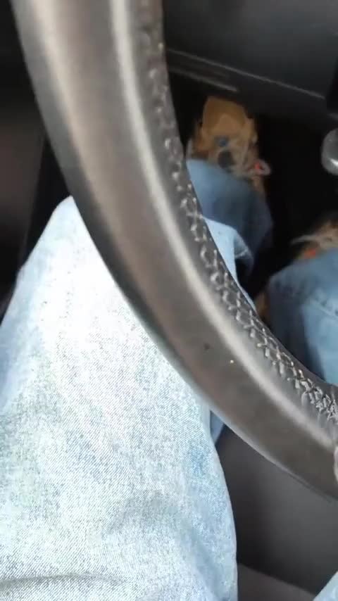 宝马X1 2018款 sDrive18Li 时尚型讲解2