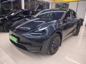 特斯拉 Model Y 2024款 后轮驱动版