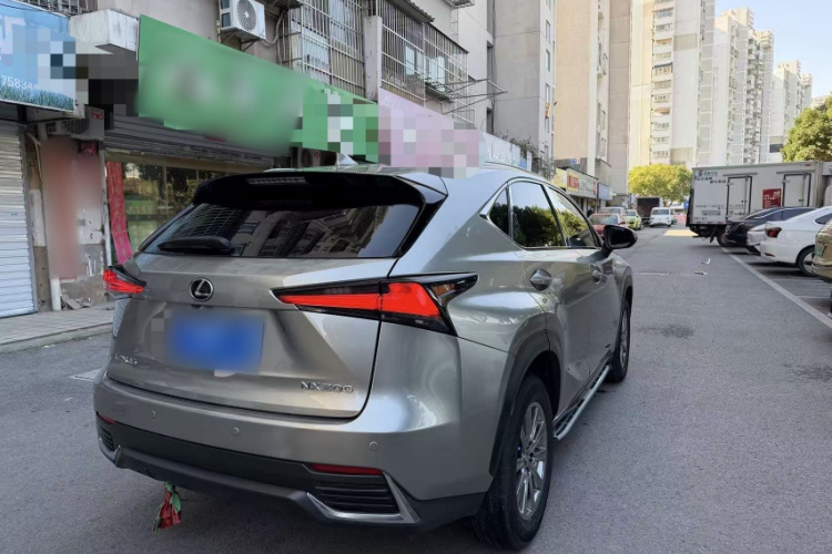 雷克萨斯NX 2020款 200 前驱 锋行版 国VI车身外观6006