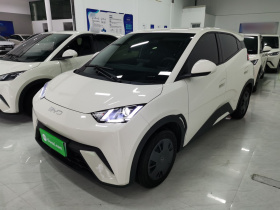 比亚迪 海鸥 2025款 305km 活力版