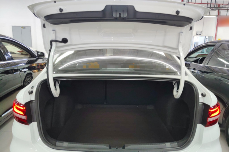 大众 朗逸 2024款 1.5L 自动星空五百万版局部细节23