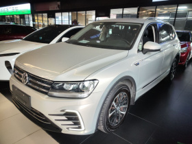 大众 途观L新能源 2019款 430PHEV 混动豪华版