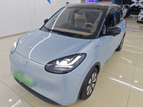 五菱汽车 五菱缤果 2024款 410km 灵犀尊享款