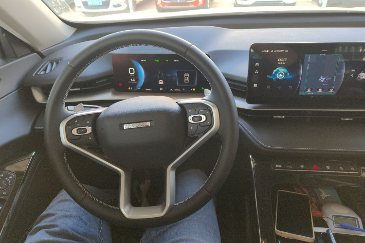哈弗H6 2024款 1.5T 两驱经典版中控内饰12