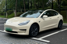 特斯拉 Model 3 2019款 标准续航后驱升级版