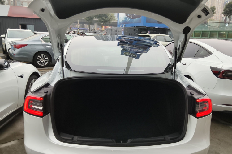 特斯拉 Model 3 2020款 标准续航后驱升级版局部细节23