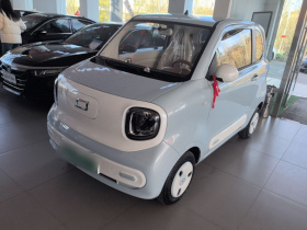 奔腾小马 2025款 222km 闪电马