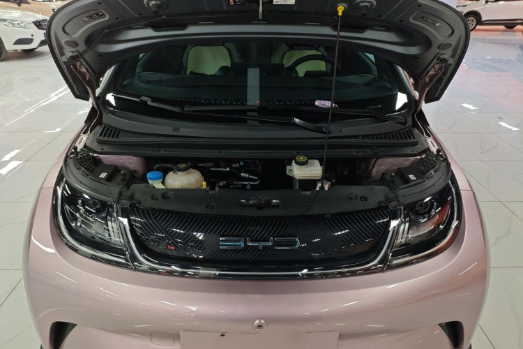 比亚迪 海豚 2021款 401km 骑士版局部细节24