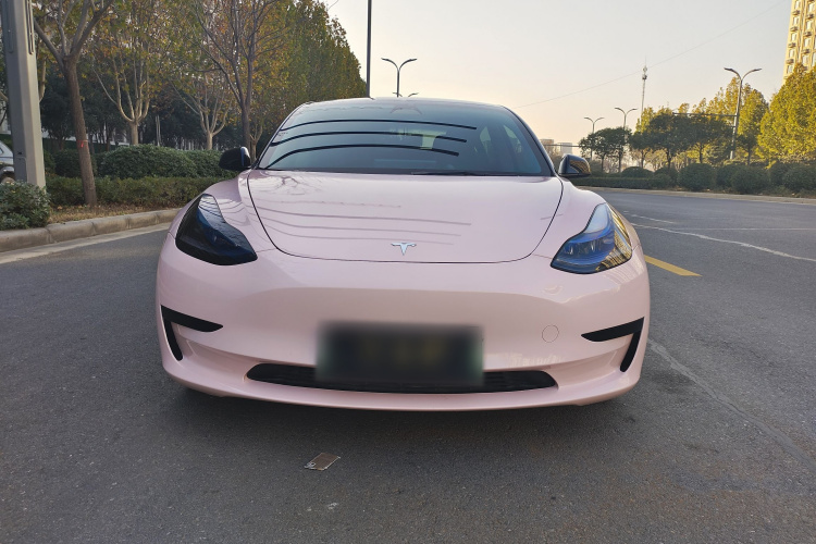 特斯拉 Model 3 2021款 标准续航后驱升级版 3D6车身外观6002
