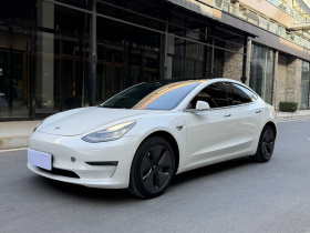 特斯拉 Model 3(进口) 2019款 长续航后驱版