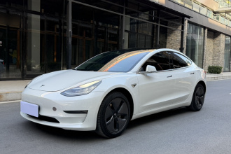 特斯拉 Model 3(进口) 2019款 长续航后驱版