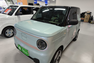 吉利银河 2023款 熊猫mini 200km 灵动熊