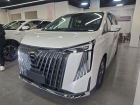 广汽传祺 传祺M8 2024款 大师系列 400T 尊贵版