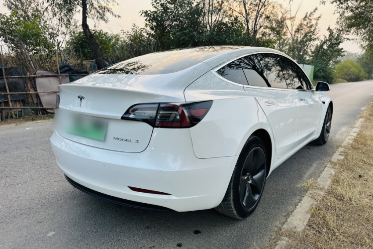 特斯拉 Model 3 2019款 标准续航后驱升级版车身外观6002