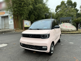 五菱汽车 宏光MINIEV 2022款 马卡龙臻享款 磷酸铁锂