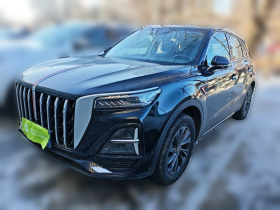 红旗HS5 2025款 2.0T 两驱60万辆纪念版