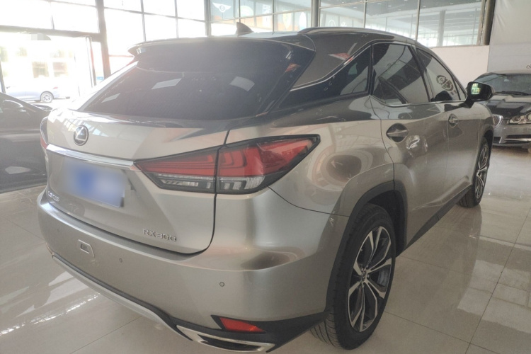 雷克萨斯RX 2020款 改款 300 四驱典雅版车身外观7